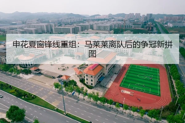 申花夏窗锋线重组：马莱莱离队后的争冠新拼图