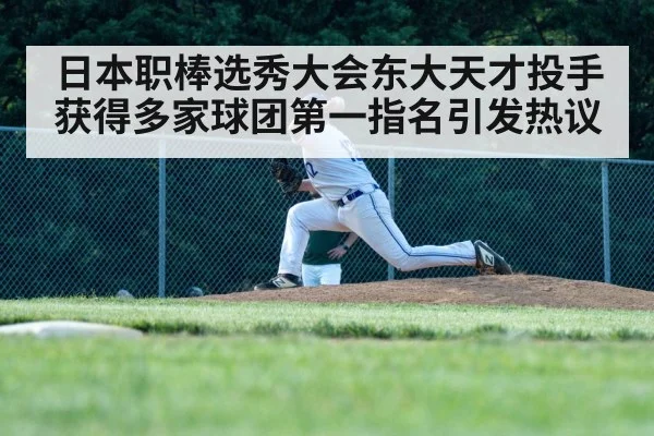 日本职棒选秀大会东大天才投手获得多家球团第一指名引发热议